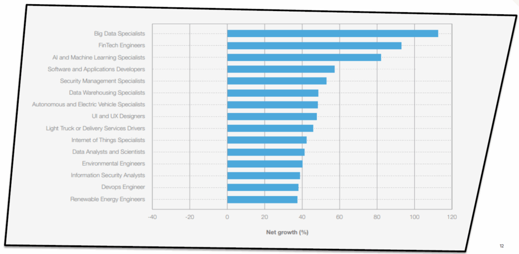 The Future of Jobs Report 2025